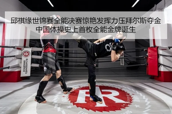 qiu-qi-yuan-shi-jin-sai-quan-neng-jue-sai-jing-yan-fa-hui-li-ya-bai-er-si-duo-jin-zhong-guo-ti-cao-shi-shang-shou-mei-2-232.jpg